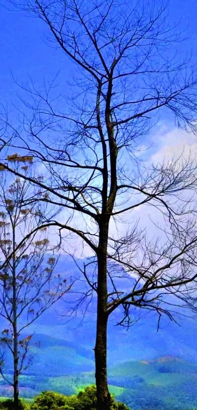 Bare tree under a bright blue sky in a serene landscape.