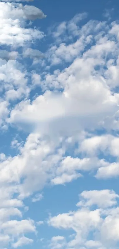 Blue sky with fluffy white clouds wallpaper.