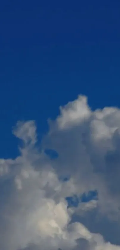 Blue sky wallpaper with fluffy clouds on a deep blue backdrop.