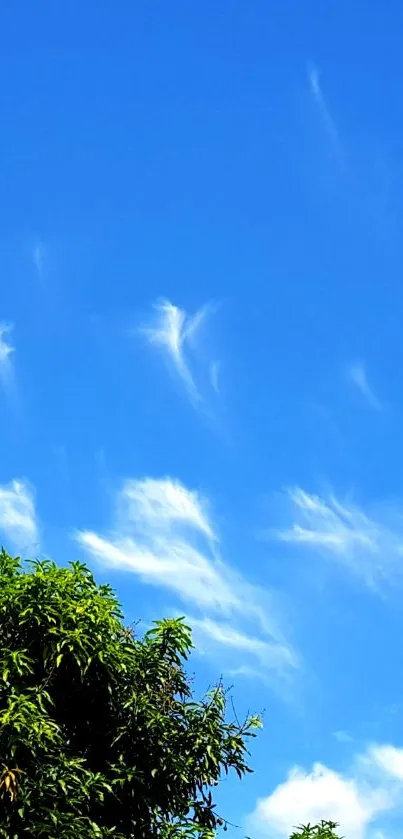 Blue sky with wispy clouds and green trees.