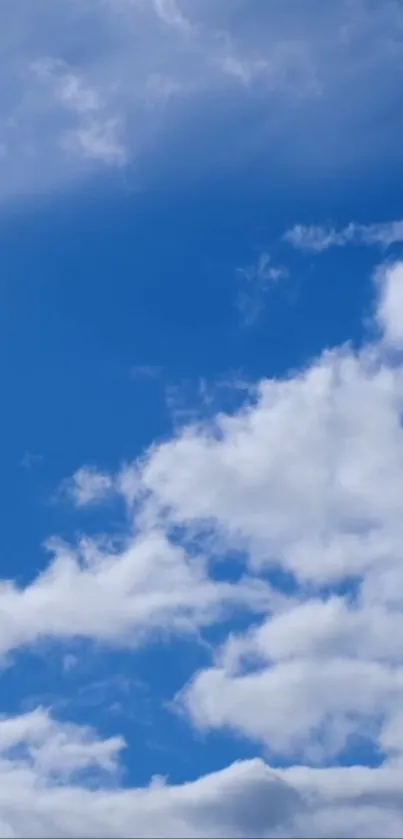 Serene blue sky with fluffy white clouds wallpaper.