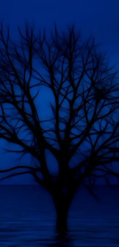 Silhouette of a tree reflecting in blue water under a night sky.