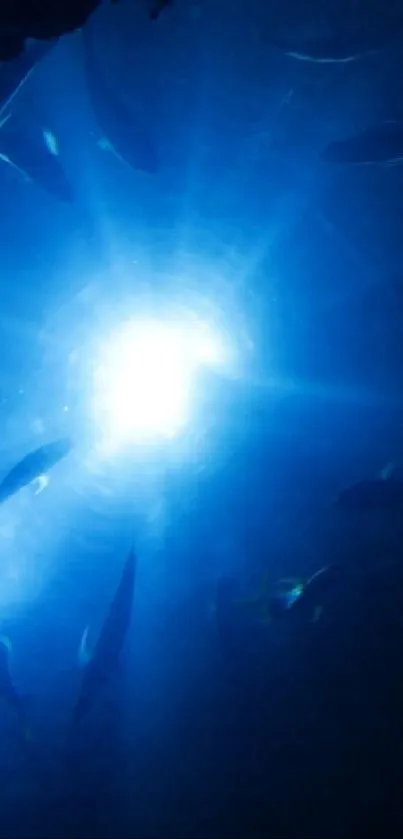 Dramatic underwater wallpaper with blue hues and sunlit rays.