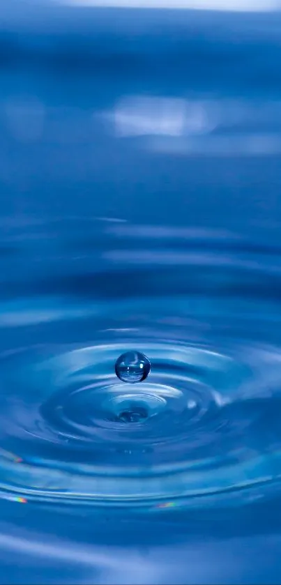 A single water drop creates ripples on a vibrant blue surface.