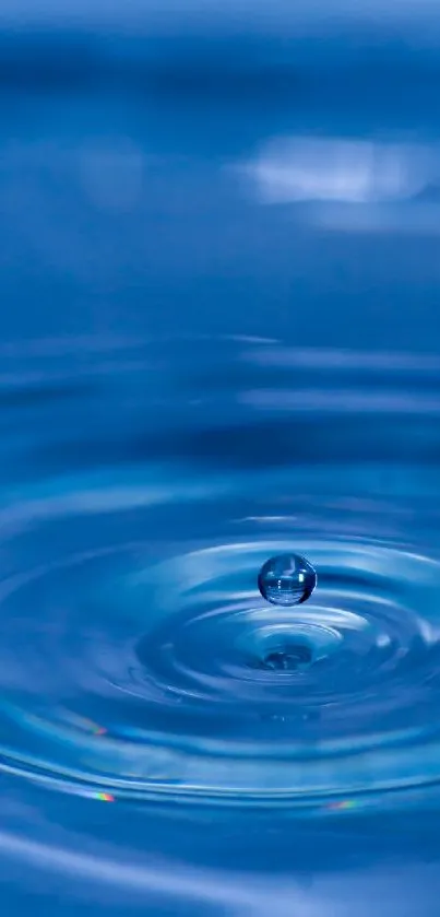 Blue water drop creates serene ripples in calming wallpaper.