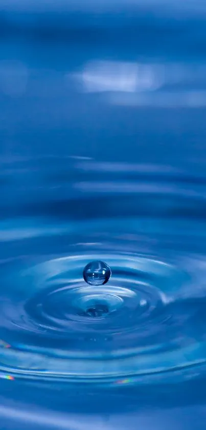 Blue water drop creating ripples on a calm surface.