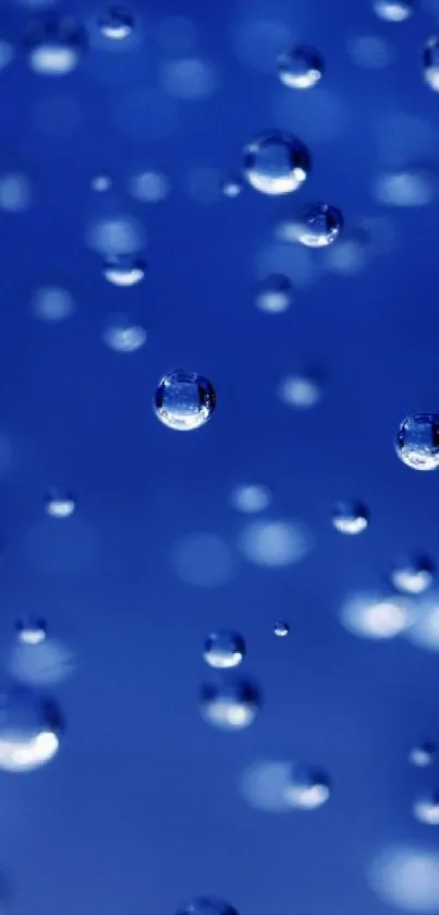 Serene blue water droplets on a calming background.