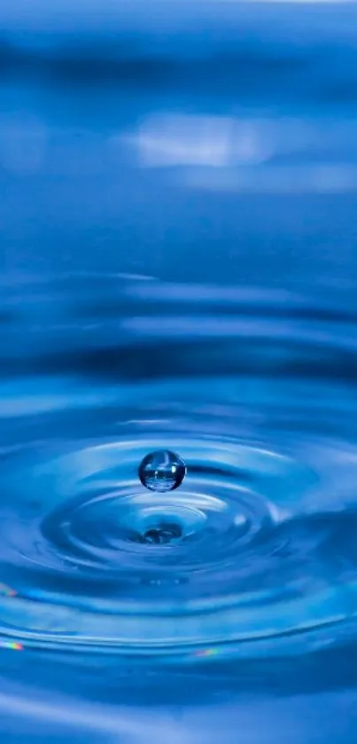 Blue water droplet creating peaceful ripple effect wallpaper.