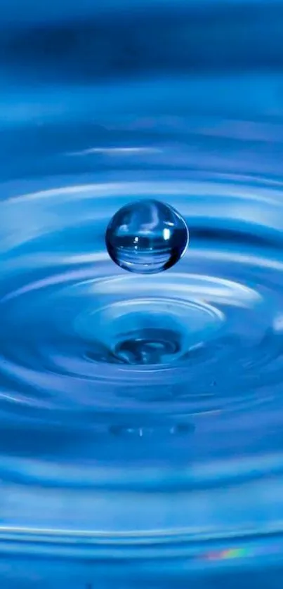 Serene blue water ripple wallpaper with a single droplet.