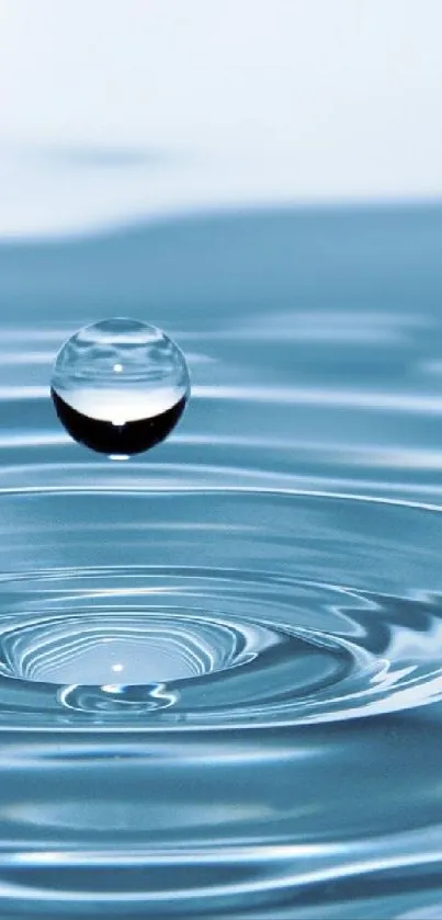 Water droplet creating ripples on a tranquil blue surface.