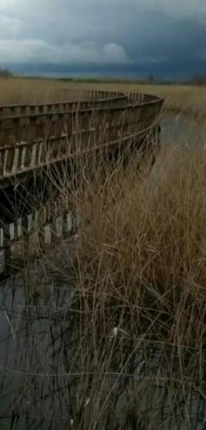 Serene boardwalk with reeds and cloudy sky wallpaper.