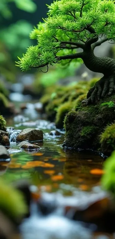Peaceful bonsai tree beside flowing stream in lush greenery.