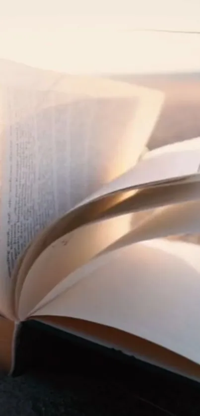 Open book resting on sand at beach background.