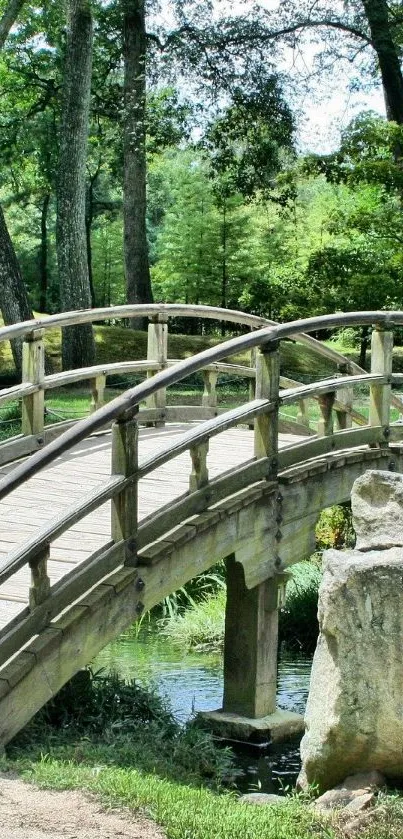 A serene wooden bridge surrounded by lush green trees and foliage.