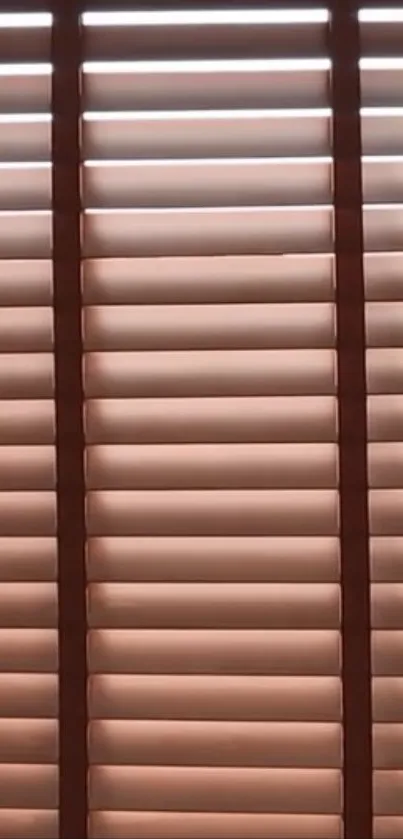 Brown window blinds with a serene texture