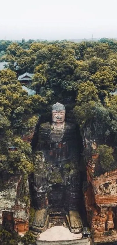 Aerial view of Buddha statue carved into a cliff surrounded by lush greenery.