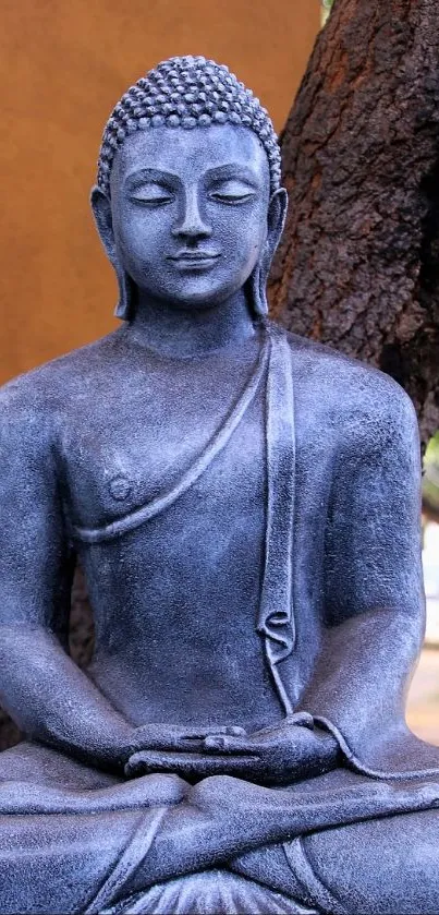 Serene Buddha statue in meditation pose against a natural background.