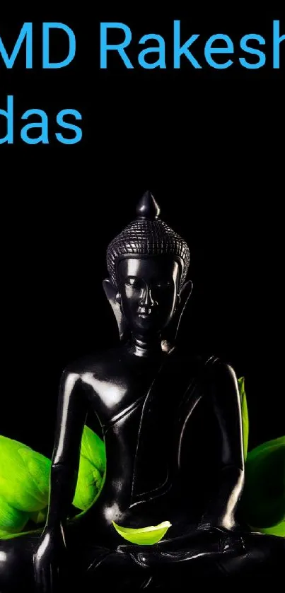 Serene Buddha statue with green leaves on a dark background.