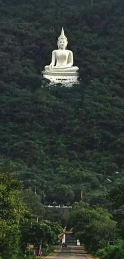 White Buddha statue in lush green mountain on mobile wallpaper.