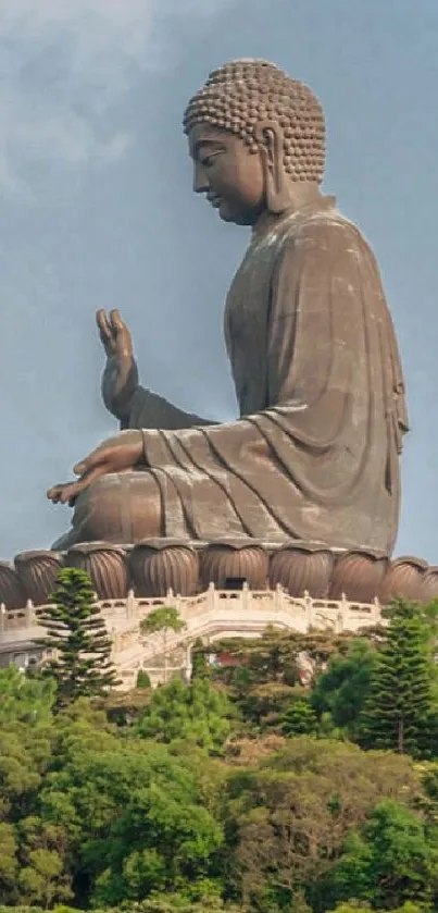 Serene Buddha statue on greenery with blue sky backdrop.