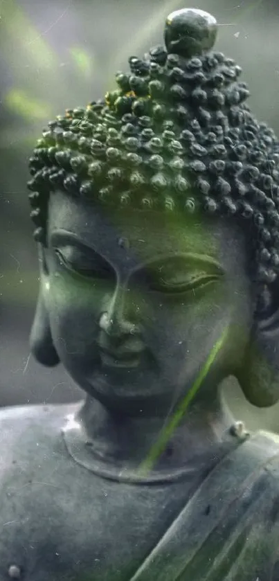 Serene Buddha statue wallpaper with greenish hue.