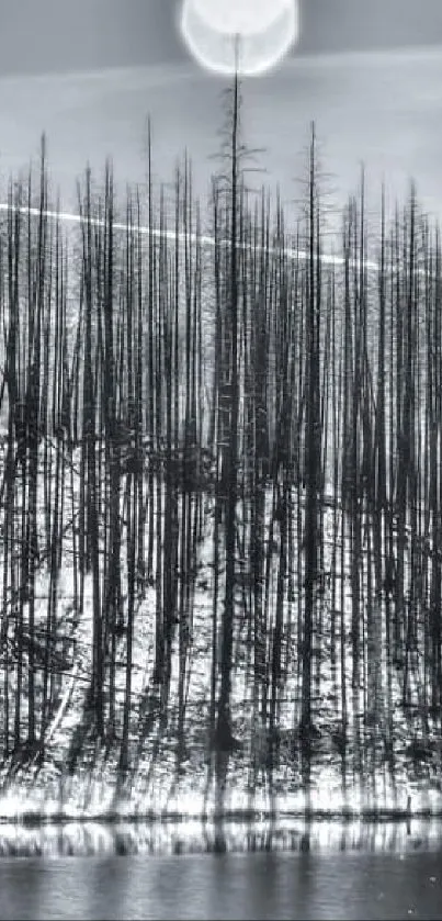 Monochrome wallpaper of a burnt forest reflection under a full moon.