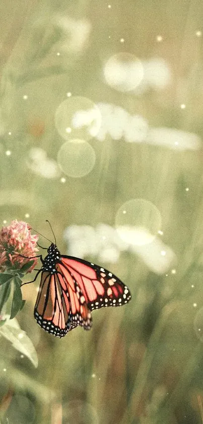 Butterfly rests on pink wildflower in a lush, serene meadow scene.