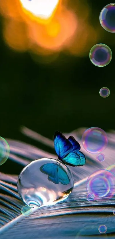 Blue butterfly on feather with glowing sunset backdrop.