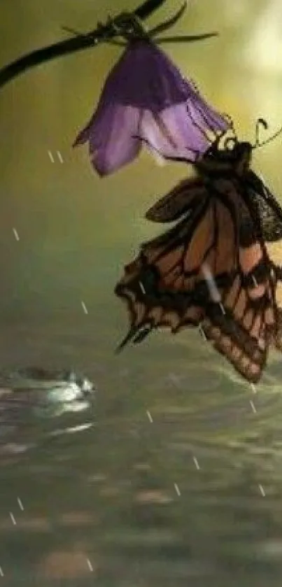 A butterfly perched on a drooping flower with water reflection.