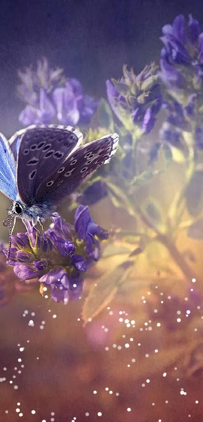 Blue butterfly on purple flowers with a soft, dreamy background.