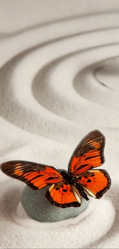 Orange butterfly on stone with sand ripples in a serene design.