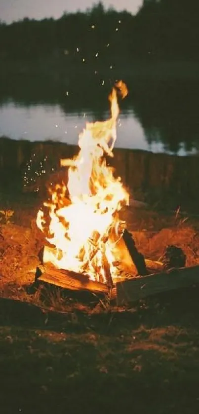 Campfire burning at night by a tranquil lakeside.