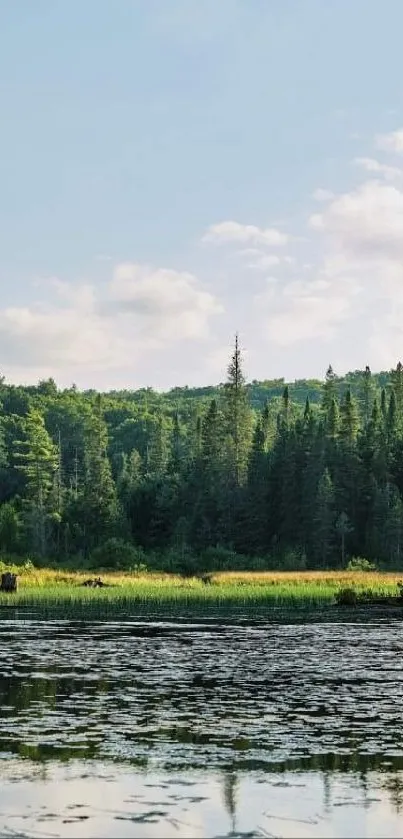 Scenic view of a calm lake and lush green forest under a blue sky with clouds.