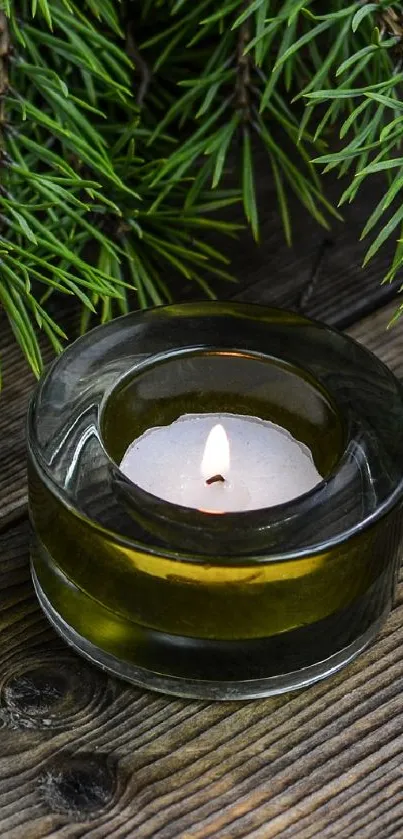 Green candle and pine branch wallpaper on wooden surface.