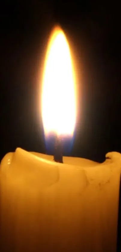 A glowing candle flame on a dark background.