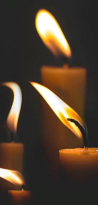 Candlelight wallpaper with warm flames against a dark background.