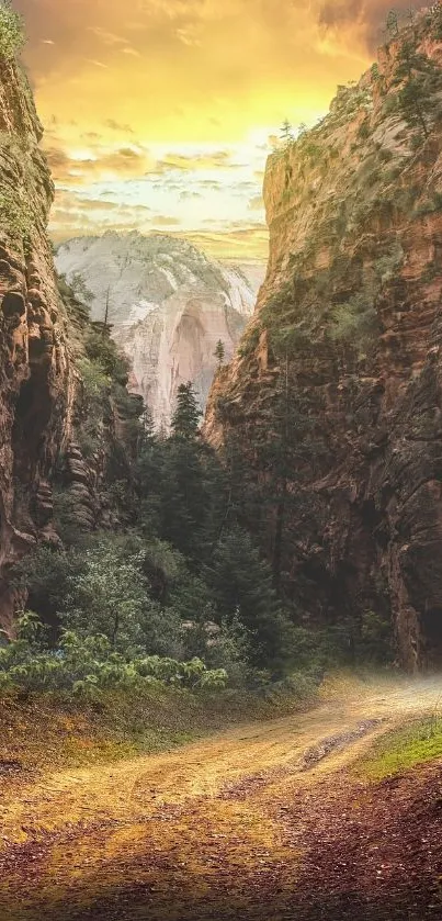 Golden sunset over a canyon path with lush greenery and rock formations.