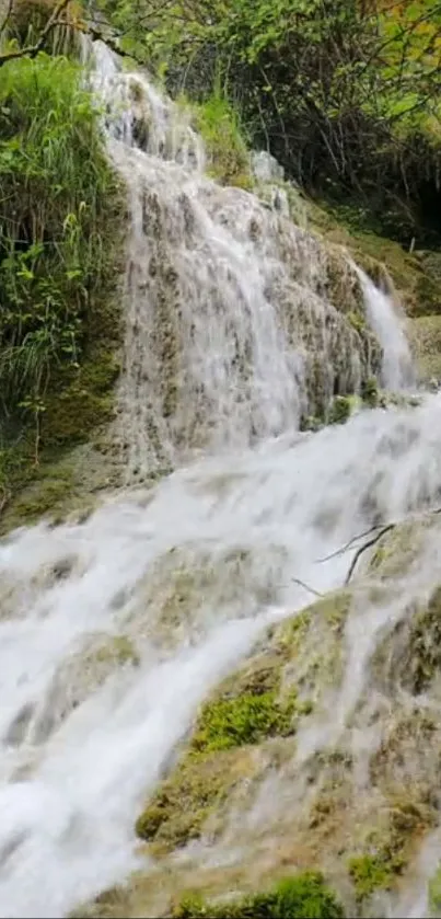 Cascading waterfall amidst lush green scenery.