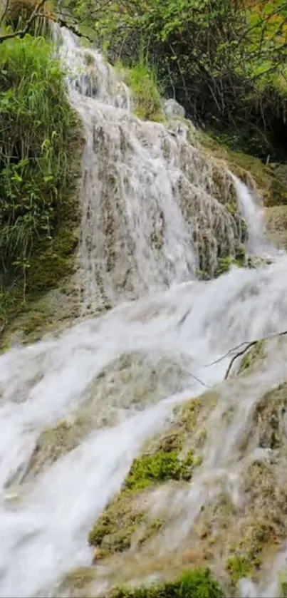 Cascading waterfall in lush green landscape.