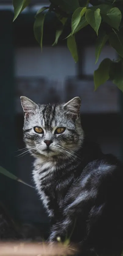 Striped cat sitting outdoors surrounded by green leaves.