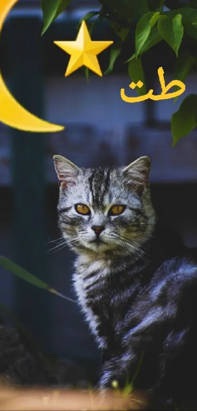 A gray tabby cat sits under a crescent moon and star in a garden setting.