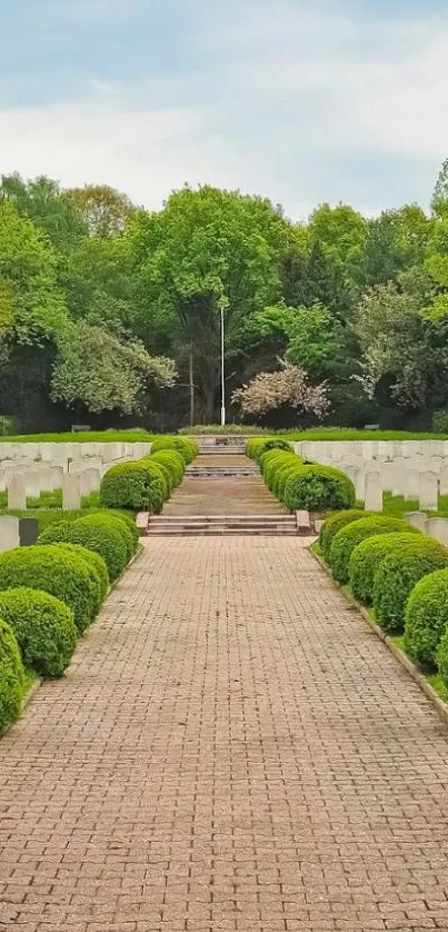 Serene cemetery pathway with green trees and manicured shrubs.