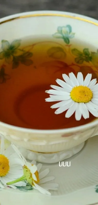 Chamomile tea with daisy floating in vintage cup.