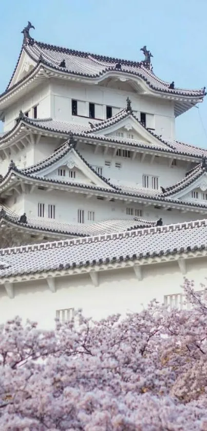 Japanese castle with cherry blossoms and blue sky.