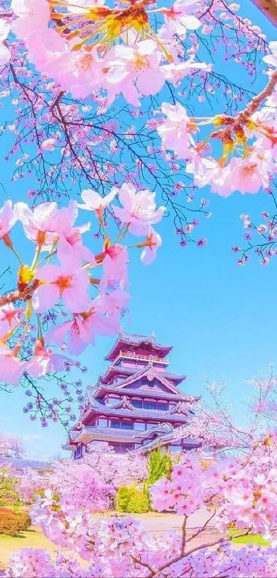 Sakura blossoms framing a Japanese castle under a blue sky.