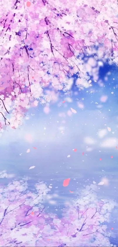 Serene cherry blossom scene with blue sky.