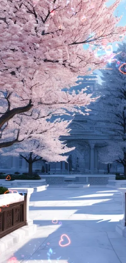 Serene pathway with cherry blossoms and blue sky background.