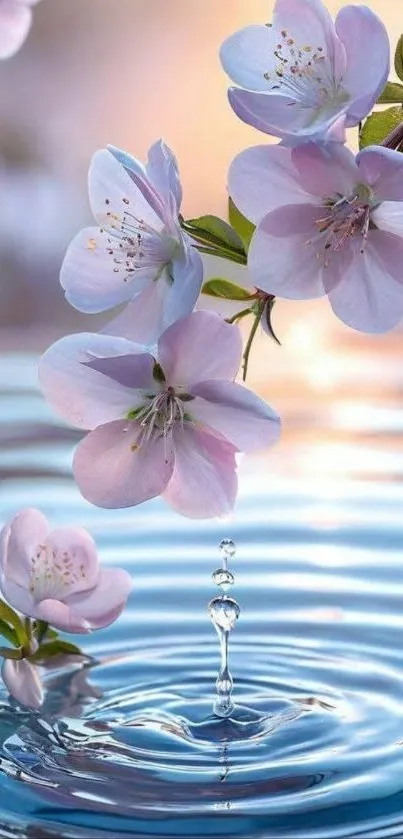 Cherry blossoms reflected in rippling water, creating a serene scene.
