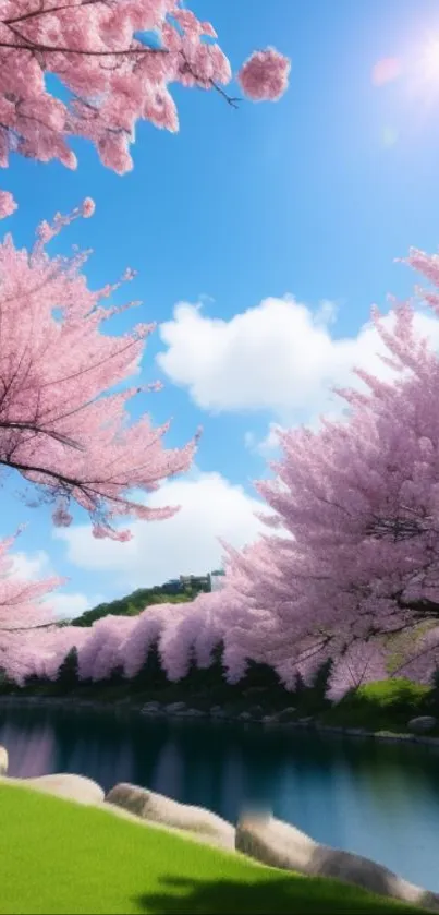 Cherry blossoms under a blue sky with sunlight reflecting in serene water.