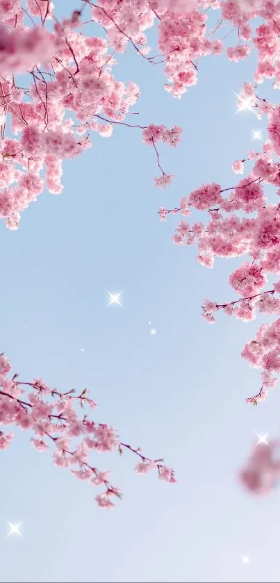 Cherry blossoms against a clear blue sky creating a serene phone wallpaper.